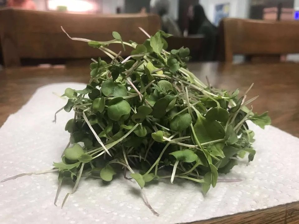 Registration is open for two microgreens & hydroponics workshop at Erie Public Library.