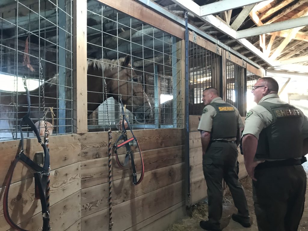 Chief Deputy Jeffrey VenHuizen and Sheriff John Booker were spotted in the horse barn on Thursday evening.