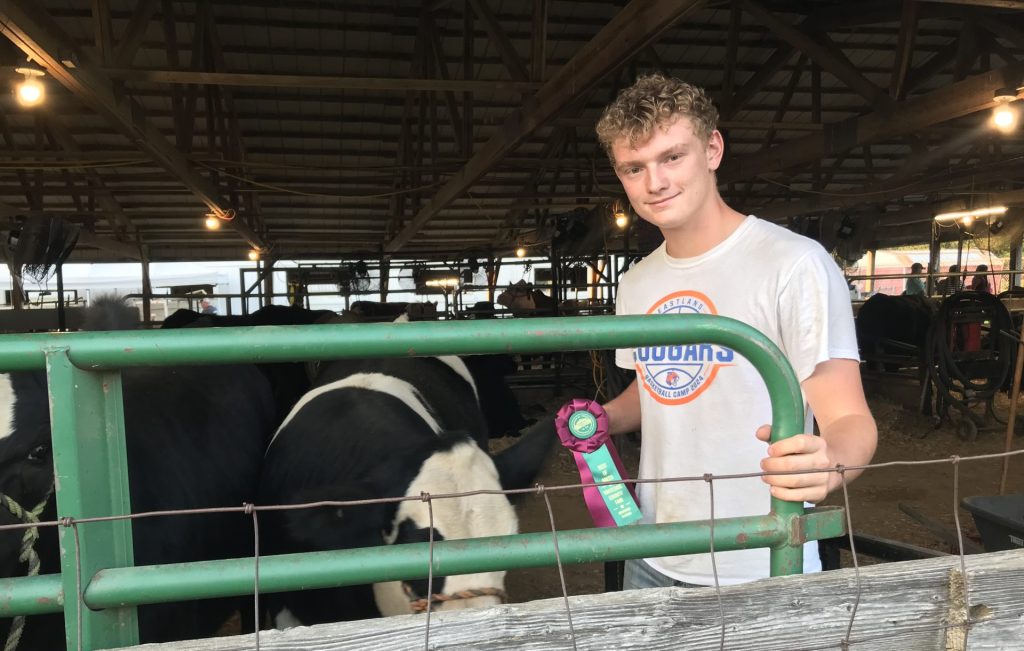 Eastyn Zumdahl of Baileyville with one of his award-winning cows.