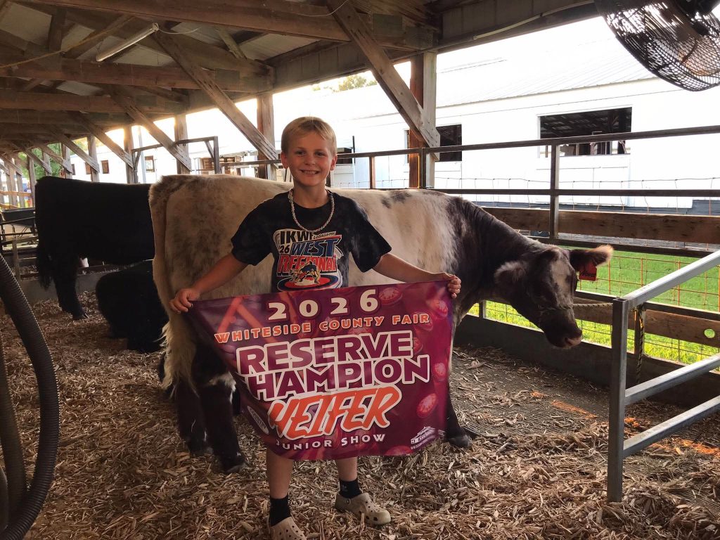 Morse Reynolds of Chadwick won the Heifer Reserve Champion Overall for a Shorthorn at the Whiteside County Fair in Morrison.