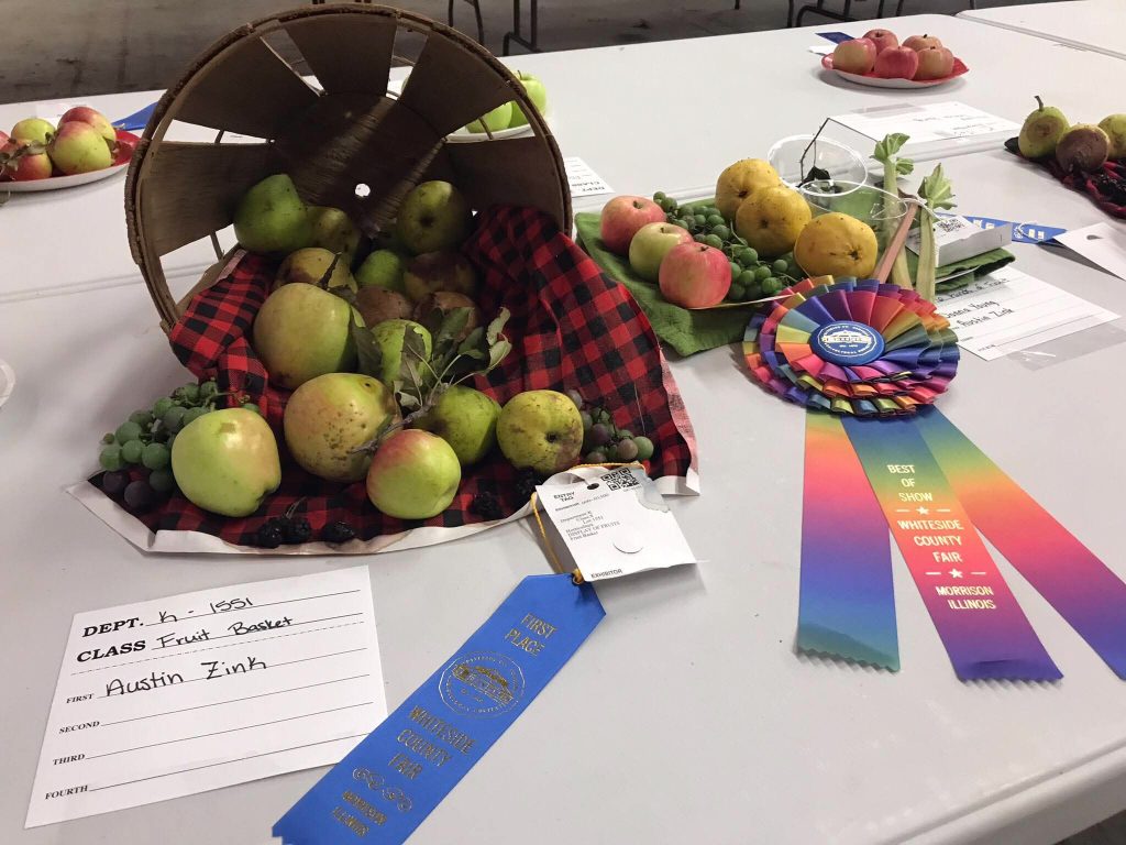 Premier Exhibitor went to Austin Zink and Best of Show went to Donna Young for the Open Horticulture Show.